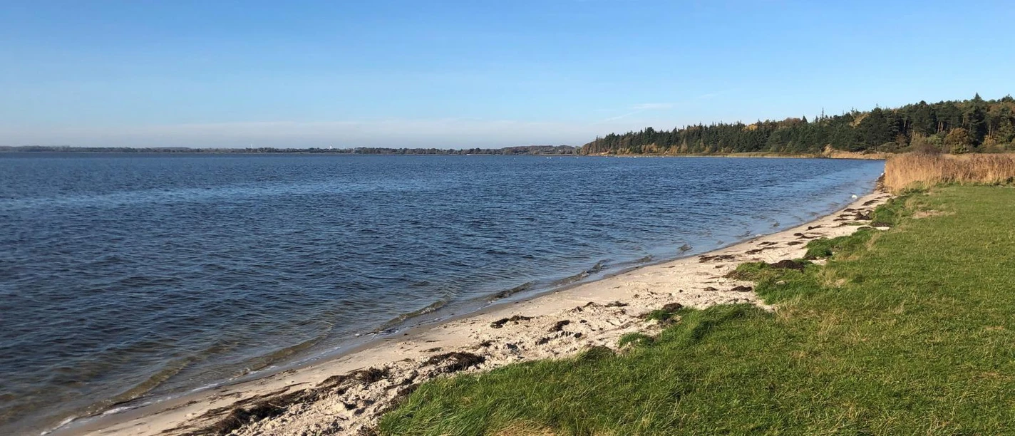 strand-weseby-ostseefjordschlei.JPG