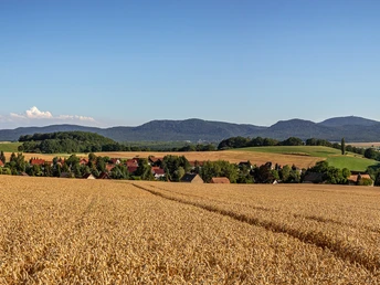 Panoramablick ins Zittauer Gebirge