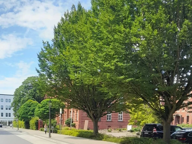 Busparkplatz Amtsgericht