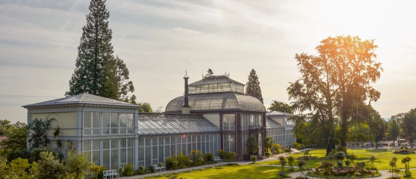 Gewächshaus Bergpark