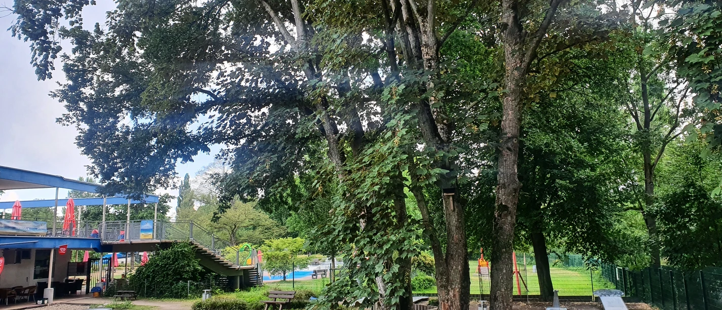 Minigolf auf Grafenwerth