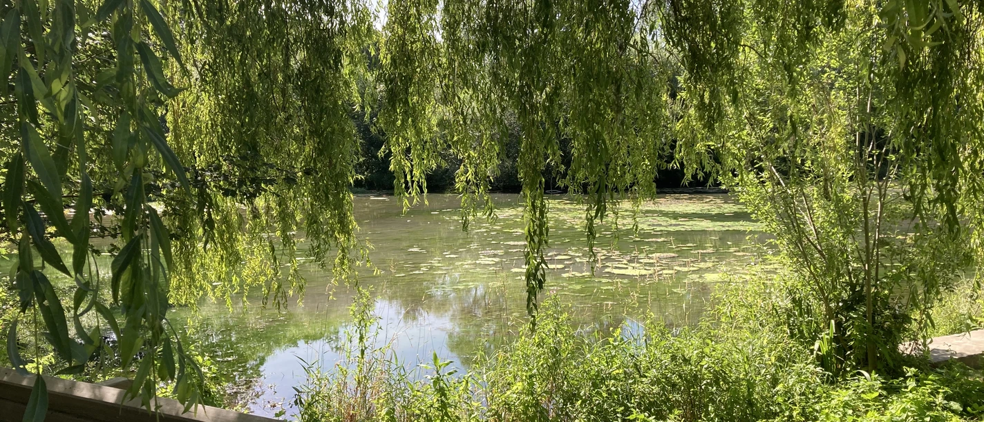Quellgarten | Lichtenau-Henglarn Quellgarten | Lichtenau-Henglarn