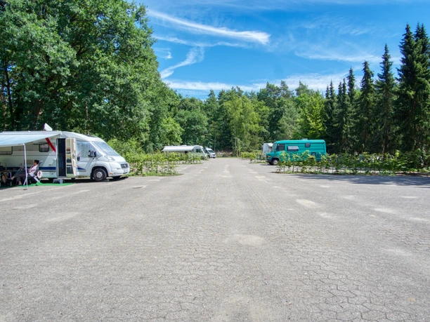 Stellplatz am Waldbad Gepflasterter Wohnmobilstellplatz am sonnigen Waldrand mit mehreren parkenden Wohnmobilen.