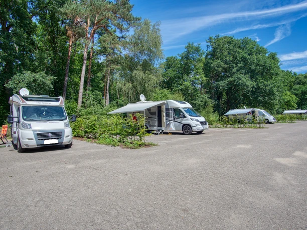 Stellplatz am Waldbad Weiße Wohnmobile parken auf einem sonnigen Stellplatz direkt am grünen Wald.