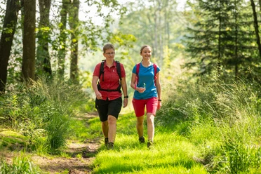 Wandern Heckberg Zwei wandernde Frauen in sommerlicher Kleidung auf einem Waldweg bei Sonnenlicht umgeben von grüner Natur.