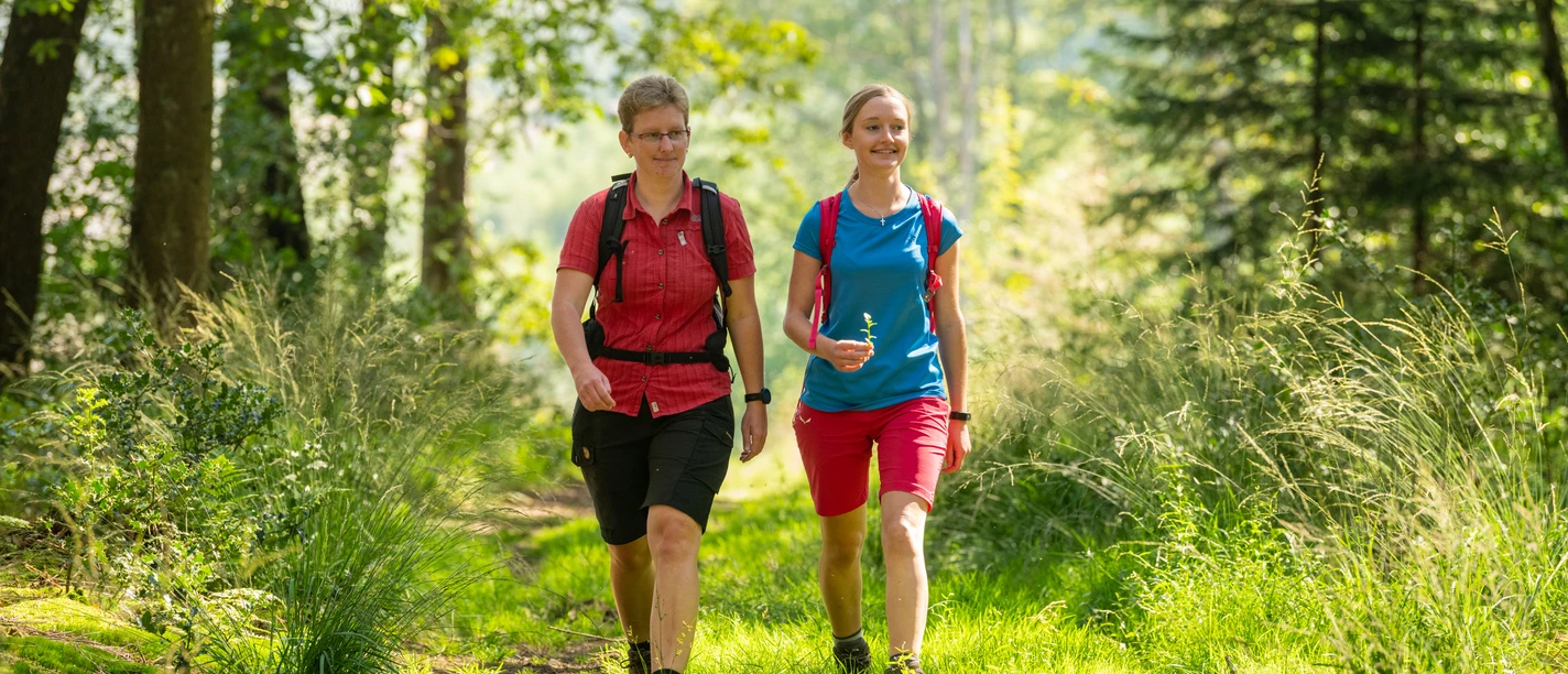 Wandern Heckberg Zwei wandernde Frauen in sommerlicher Kleidung auf einem Waldweg bei Sonnenlicht umgeben von grüner Natur.