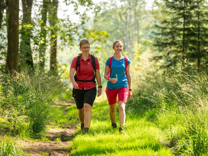 Wandern Heckberg Zwei wandernde Frauen in sommerlicher Kleidung auf einem Waldweg bei Sonnenlicht umgeben von grüner Natur.