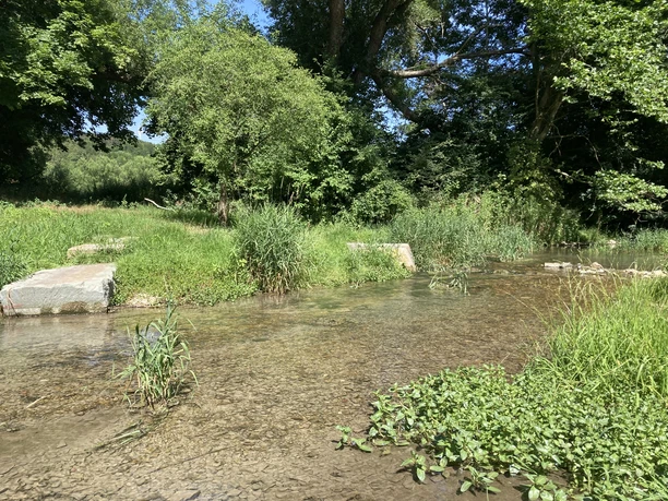 Henglarner Park | Lichtenau