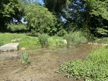 Henglarner Park | Lichtenau Henglarner Park | Lichtenau