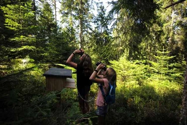 Abenteuer unter alten Buchen