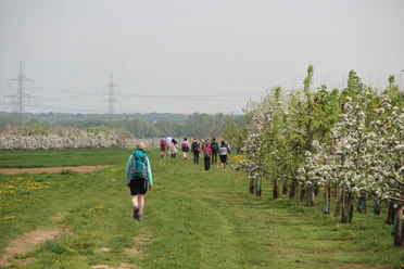 Römerkanalwanderweg bei Rheinbach