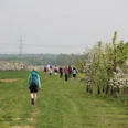 Römerkanalwanderweg bei Rheinbach