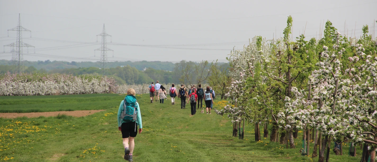 Römerkanalwanderweg bei Rheinbach