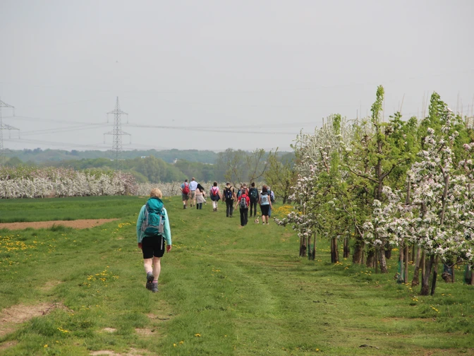 Römerkanalwanderweg bei Rheinbach