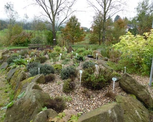 Gras-Ellenbach-Kräutergarten-SA.jpg
