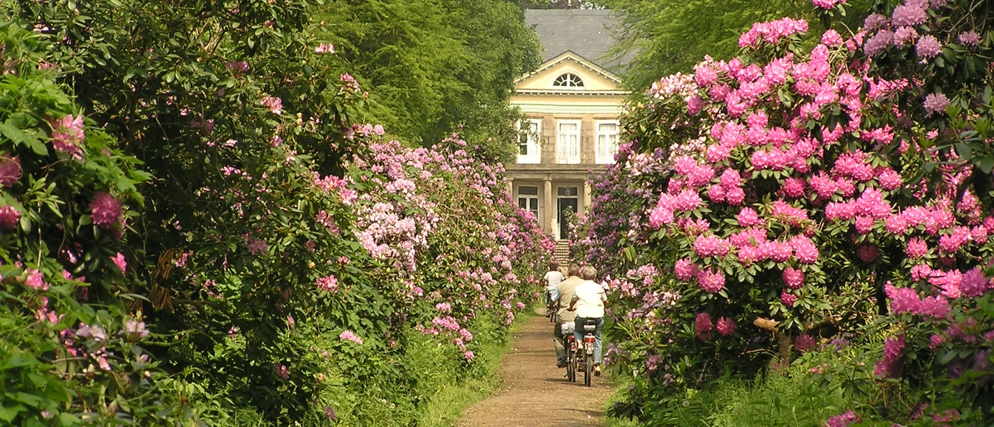 Schlossgarten Hagenburg A group of cyclists ride along a flowering rhododendron path that leads to a manor house.