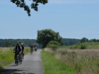 Meerbruchwiesen Radfahrer genießen einen sonnigen Tag auf einem schmalen Weg in einer grünen, ländlichen Umgebung.Cyclists enjoy a sunny day on a narrow path in a green, rural setting.Cyklister nyder en solrig dag på en smal sti i grønne, landlige omgivelser.Fietsers genieten van een zonnige dag op een smal pad in een groene, landelijke omgeving.