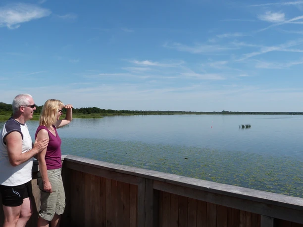 Aussichtsturm A couple looks out from a wooden lookout tower over a wide lake covered in water lilies under a blue sky.