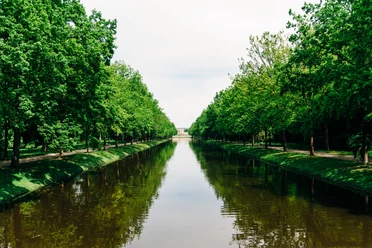 Die Karlsaue