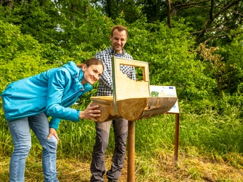 Mußeplatz Lebensraum Hecke