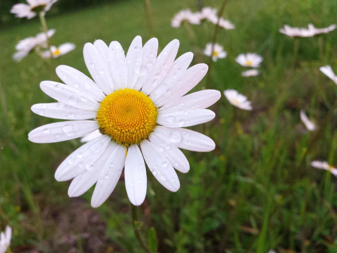 20170518 210343 nathalie