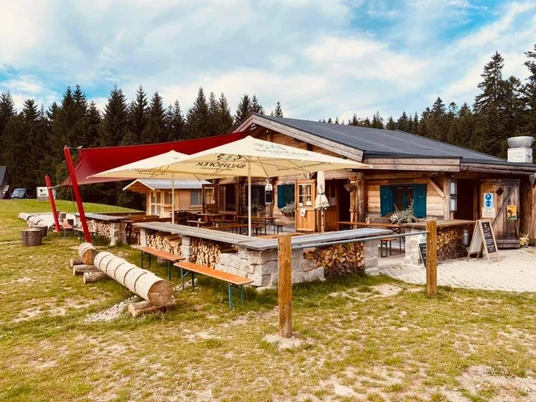 244802705 391403812574330 2539935136030622208 n