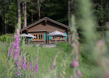Blockhütte Außenansicht