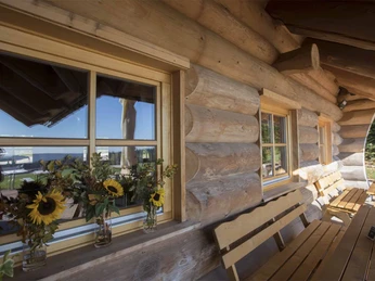 Bild S 8 Tannen Stub klein