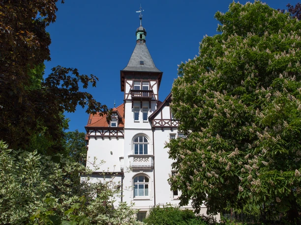 Museum Villa Stahmer in Georgsmarienhütte Historische Villa des Museum Villa Stahmer, umgeben von Parkanlage und altem Baumbestand.