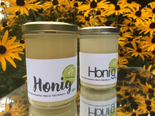 Honig Manufaktur Neanderthal aus Mettmann Zwei Gläser Honig stehen auf einer reflektierenden Fläche, umgeben von leuchtend gelben Blumen.