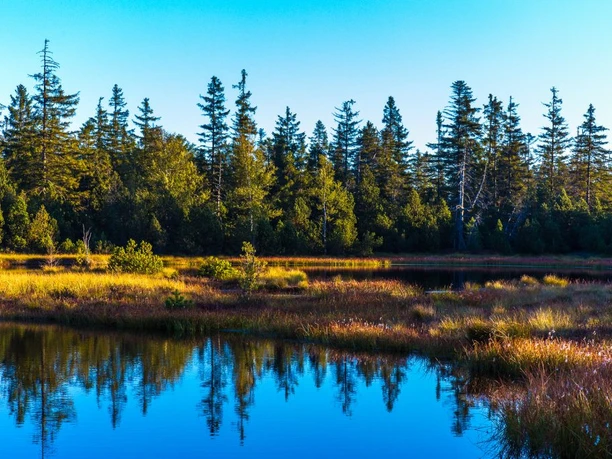 Lieblingstour Sommer