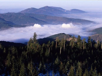 Inversion Hohloh 2008