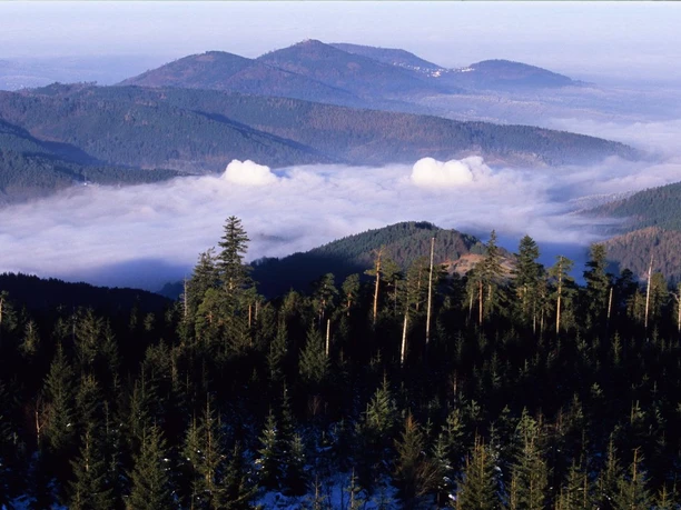 Inversion Hohloh 2008