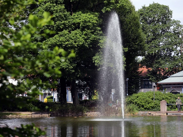 001HR - Bad Wildungen - Kurpark Teich.JPG