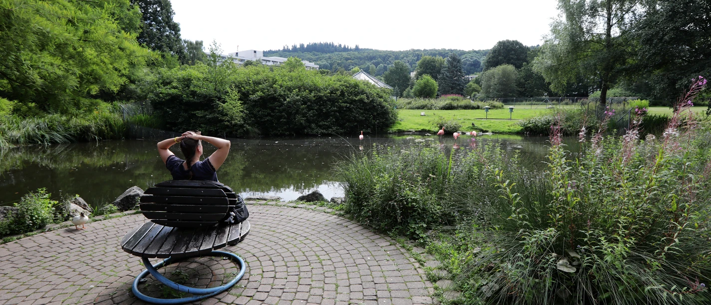 025HR - Bad Wildungen - Kurpark Teich.JPG