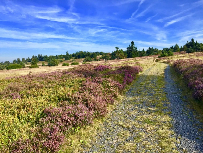Weg auf dem Kahlen Pön