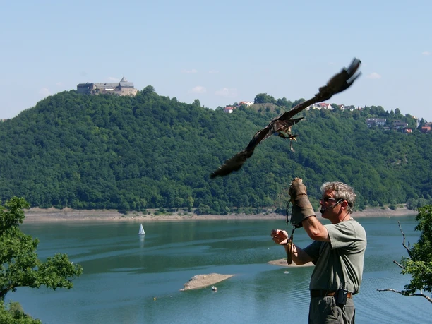 Flugschau der Greifenwarte