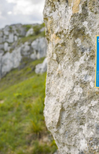 Schwarze Laber Schlaufe