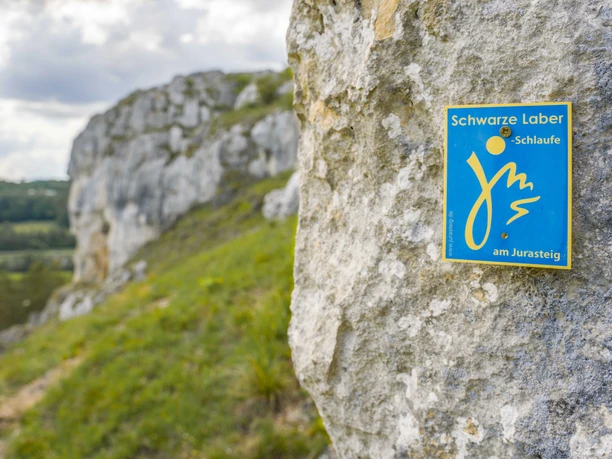 Schwarze Laber Schlaufe