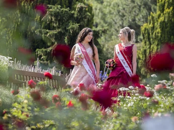 Rosarium Imagefotos 2022 Rosarium Imagefotos 2022