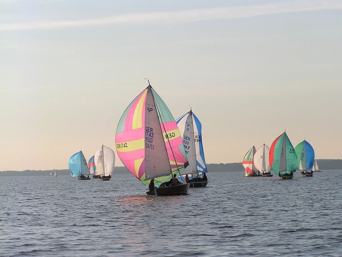 Segeln auf dem Steinhuder Meer Several colorful sailboats glide across the calm waters of the Steinhuder Meer under a blue sky.