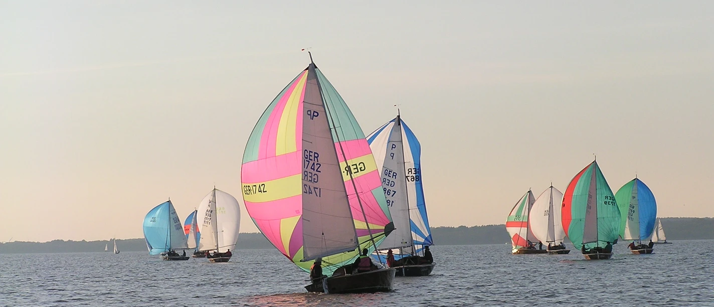 Segeln auf dem Steinhuder Meer Mehrere bunte Segelboote gleiten über das ruhige Wasser des Steinhuder Meers unter blauem Himmel.