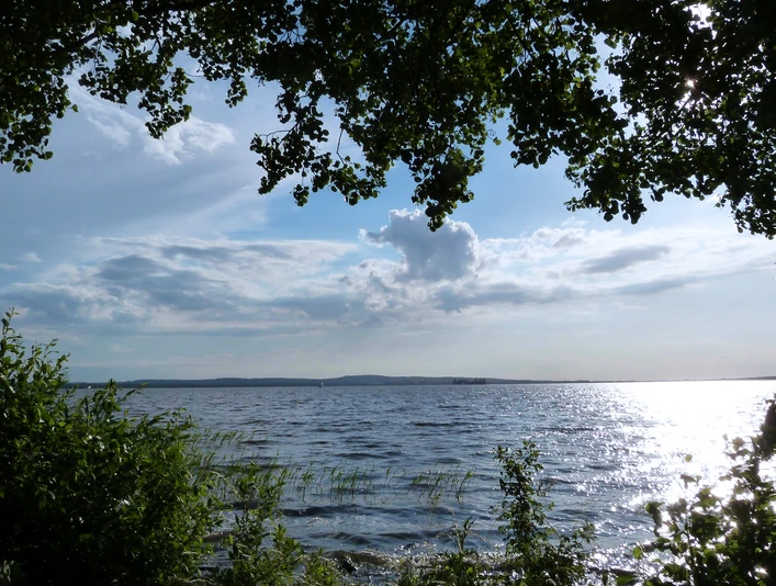 Ein weiter Blick auf das Steinhuder Meer, von Bäumen eingerahmt, das Sonnenlicht funkelt im Wasser.A wide view of the Steinhuder Meer, framed by trees, the sunlight sparkling in the water.En bred udsigt over Steinhuder Meer, indrammet af træer, sollyset funkler i vandet.Een weids uitzicht over het Steinhuder Meer, omlijst door bomen, het zonlicht fonkelend in het water.