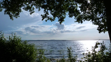 Steinhuder Meer Ein weiter Blick auf das Steinhuder Meer, von Bäumen eingerahmt, das Sonnenlicht funkelt im Wasser.