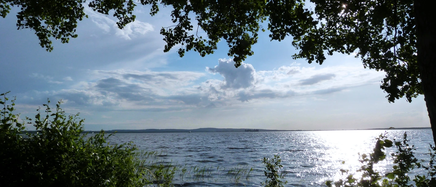 Steinhuder Meer A wide view of the Steinhuder Meer, framed by trees, the sunlight sparkling in the water.