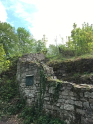 ERI_Rosenau Ruine Aufstieg.JPG