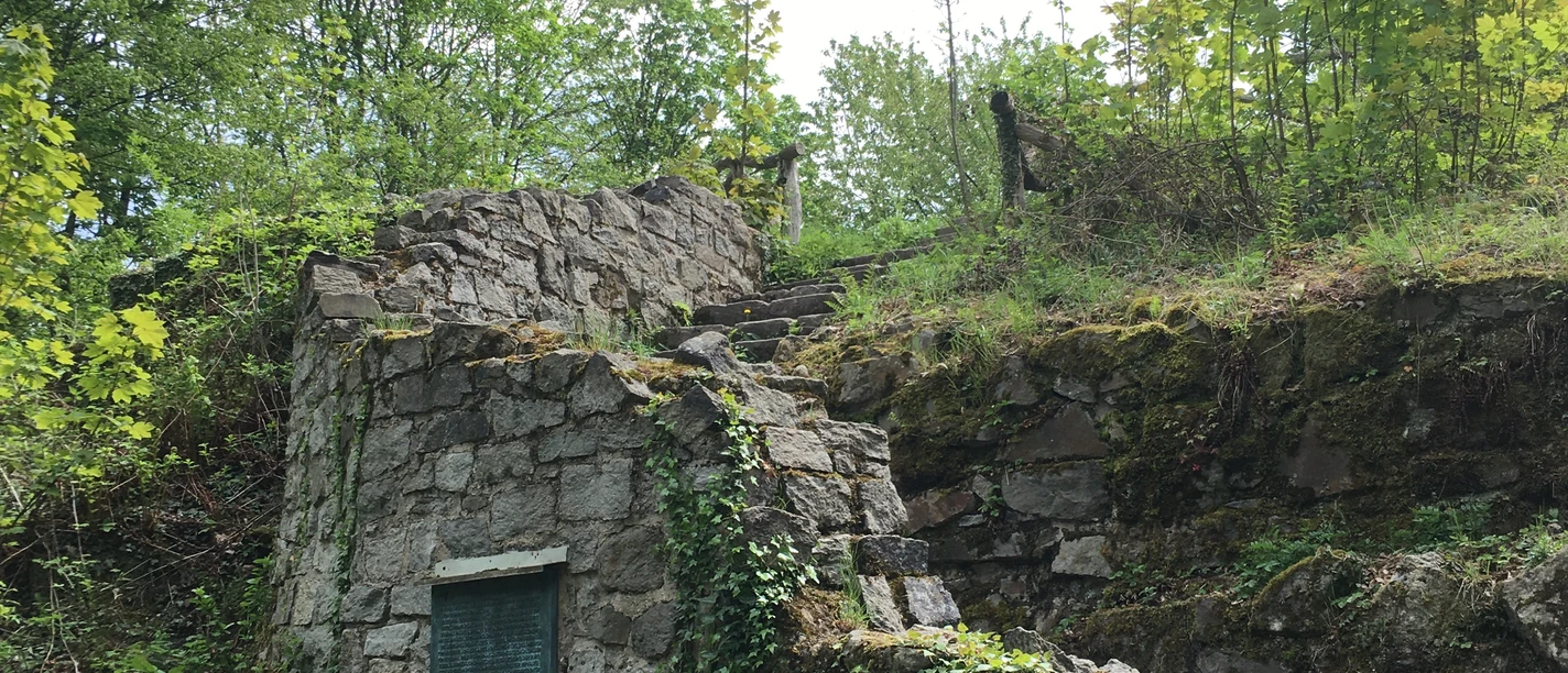 ERI_Rosenau Ruine Aufstieg.JPG