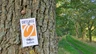 Markierungszeichen des ORTSWEGES Rund um Buchholz Markierungszeichen des ORTSWEGES Rund um Buchholz