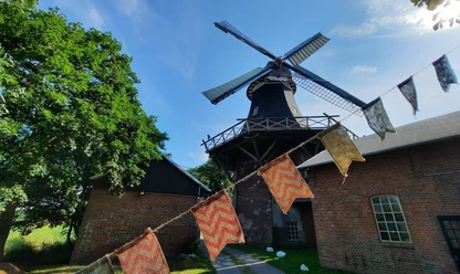 Museum Moorseer Mühle großes Mühlenfrest.jpg