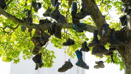 PE_FriedrichEbertPlatzSchuhbaum.jpg